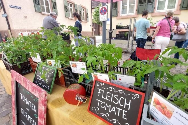 Impression vom Blumenmarkt 2023, (c) Stadt Mosbach