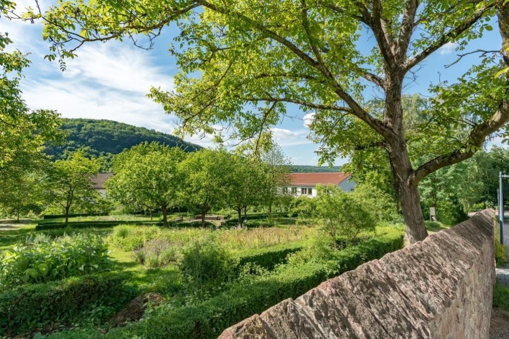 Klostergarten (Foto: Thomas Kottal) Klostergarten (Foto: Thomas Kottal)