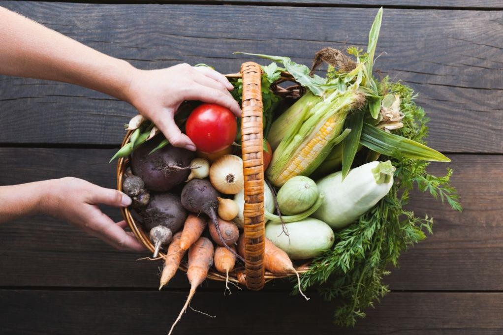 Bioprodukte, (c) Canva