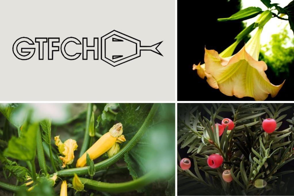 Pflanzengifte_(c) Stadt Mosbach